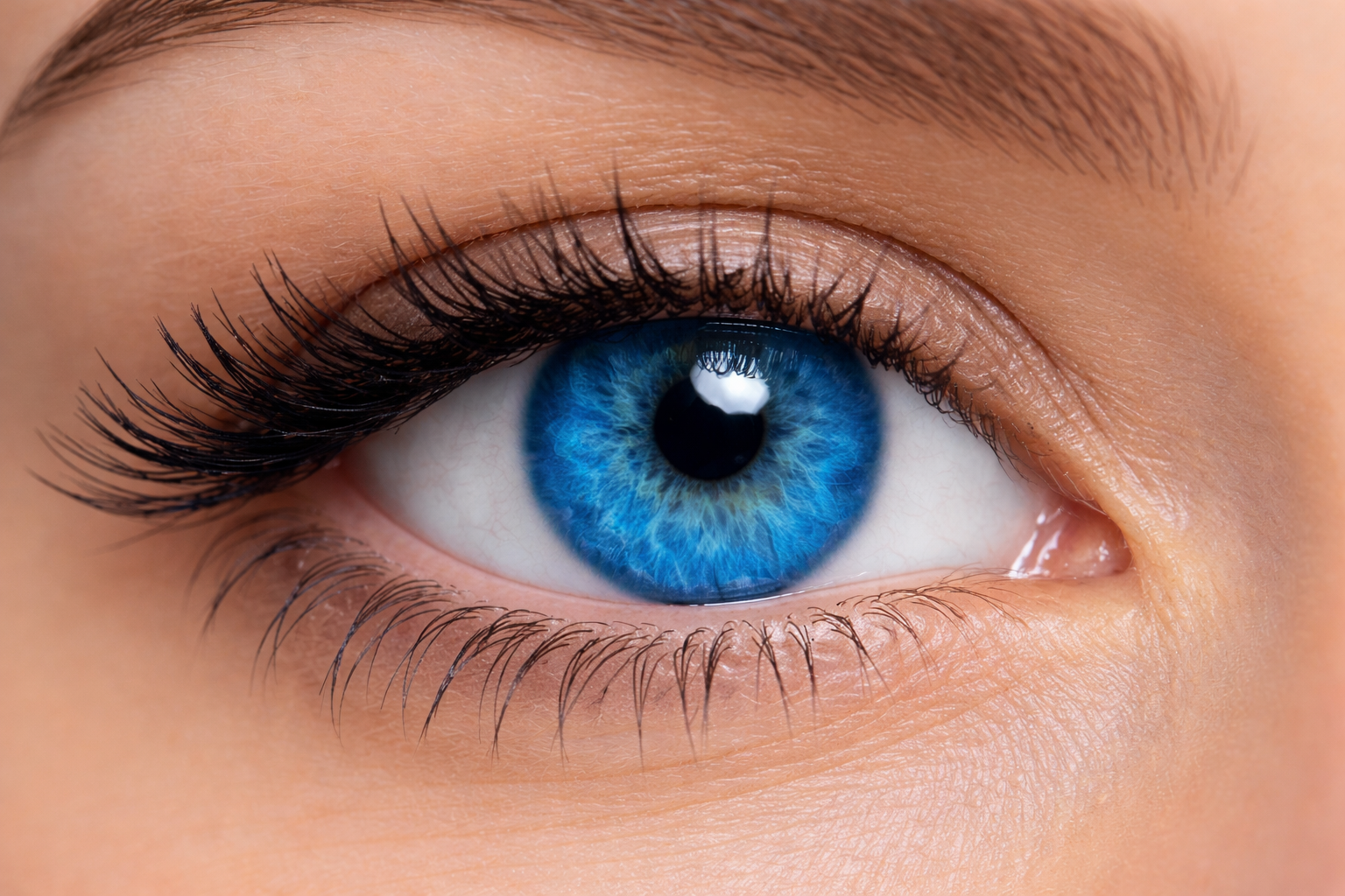 Colored Contact Lens Eye in a Passport Photo Colored and cosmetic contact lenses can interfere with biometric scanning used in U.S. passport photos and may lead to photo rejection.